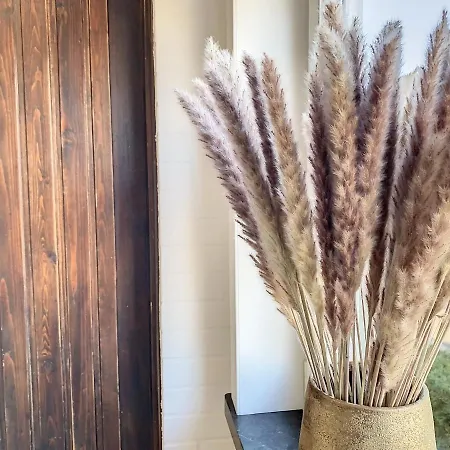 Vakantiewoning Y - Mind House *